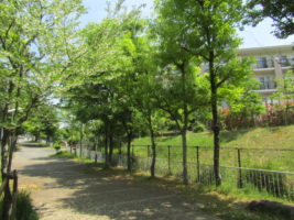 土師山から