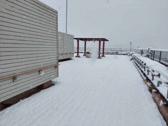 ローズライフ京都　屋上　雪