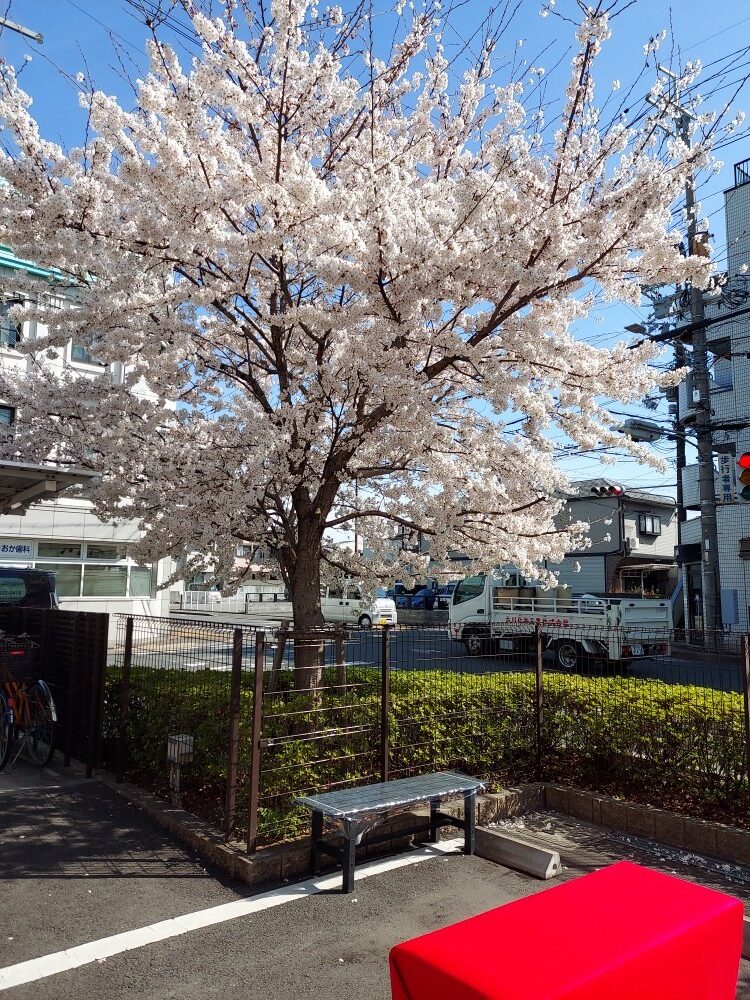 ローズライフ京都　桜